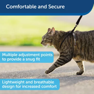 Product PetSafe® Come with Me Kitty Harness and Bungee Leash