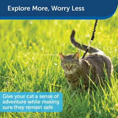 Product PetSafe® Come with Me Kitty Harness and Bungee Leash