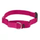 Product PetSafe® Come With Me Kitty# Harness and Bungee Leash