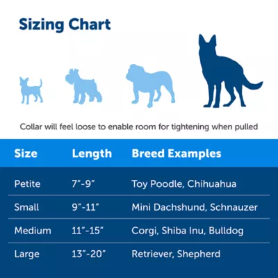 Product PetSafe® Come With Me Kitty# Harness and Bungee Leash