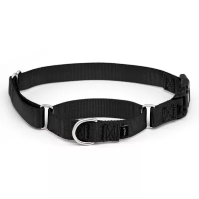 PetSafe® Martingale 1" Collar with Quick Snap Buckle - Image 1