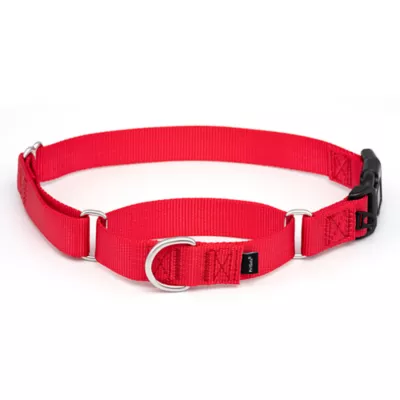 Product PetSafe® Martingale Nylon Dog Collar