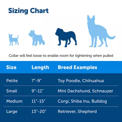 Product PetSafe® Martingale Nylon Dog Collar