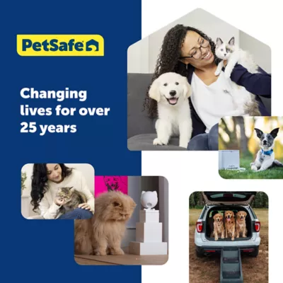 Product PetSafe® Martingale Nylon Dog Collar