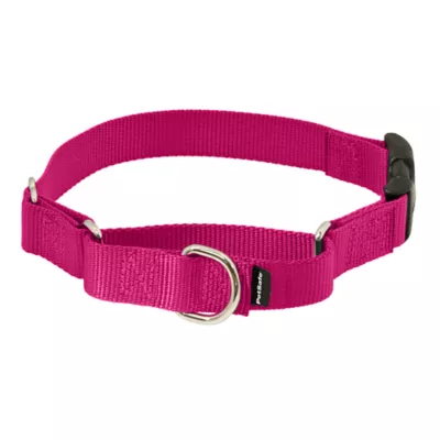 PetSafe® Martingale 3/8" Collar with Quick Snap Buckle - Image 1