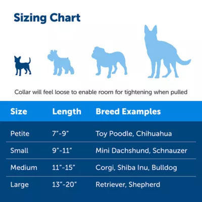 PetSafe® Martingale 3/8" Collar with Quick Snap Buckle - Image 4