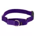 PetSafe® Martingale 3/4" Collar with Quick Snap Buckle image thumbnail 1