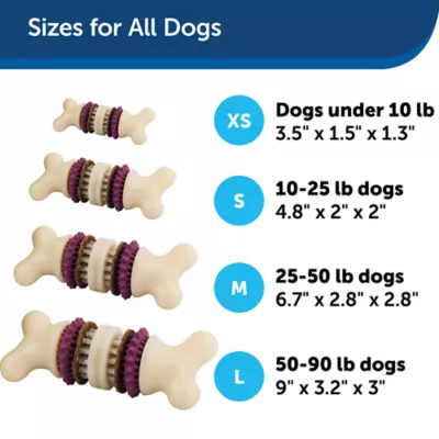 Product PetSafe® Busy Buddy® Bristle Bone®