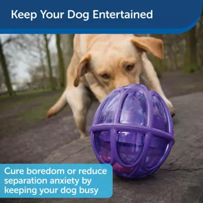 Product PetSafe® Busy Buddy® Kibble Nibble Dog Toy
