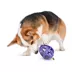 PetSafe® Busy Buddy® Kibble Nibble Dog Toy image thumbnail 1