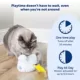 Product  Peek-a-Bird Electronic Cat Toy