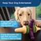 Product PetSafe® Busy Buddy® Jack Large