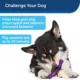 Product PetSafe® Busy Buddy® Jack Large
