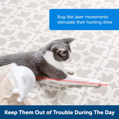 Product PetSafe Dancing Dot Laser Cat Toy