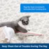 PetSafe® Dancing Dot Laser Cat Toy image thumbnail 2