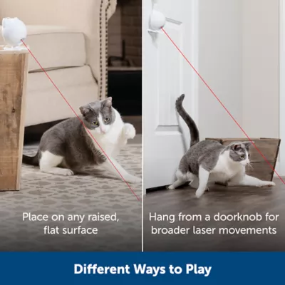 Product PetSafe Dancing Dot Laser Cat Toy