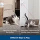 Product PetSafe Dancing Dot Laser Cat Toy