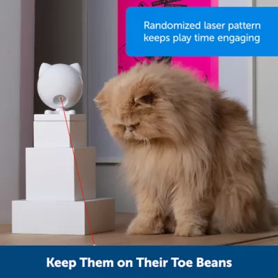 Product PetSafe Dancing Dot Laser Cat Toy