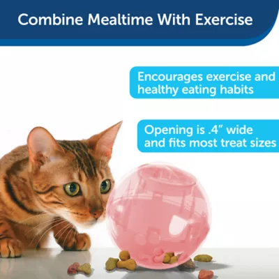 Product PetSafe® SlimCat Feeder Ball