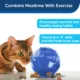 Product PetSafe SlimCat Feeder Ball