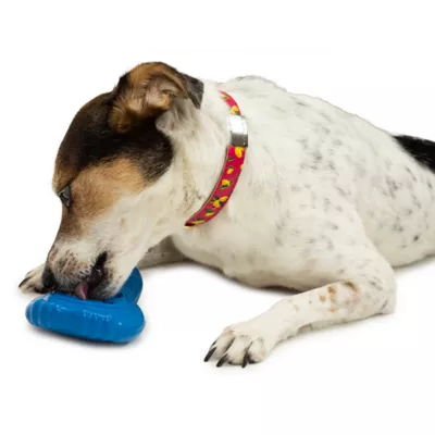 Product  PetSafe® Freezable Treat Holding Chilly Penguin Toy