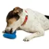  PetSafe® Freezable Treat Holding Chilly Penguin Toy image thumbnail 3
