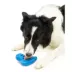  PetSafe® Freezable Treat Holding Chilly Penguin Toy image thumbnail 3