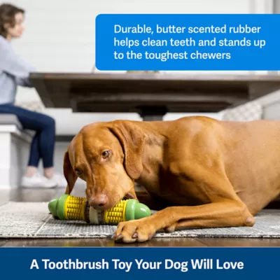 Product PetSafe® Busy Buddy® Cravin&' Corncob Dog Toy