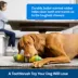 PetSafe® Busy Buddy® Cravin&' Corncob Dog Toy image thumbnail 3