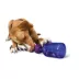 PetSafe® Busy Buddy Tug-A-Jug image thumbnail 1