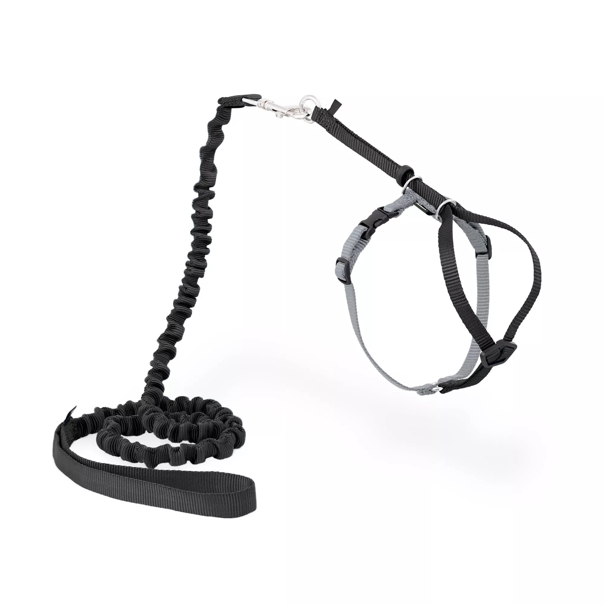 PetSafe® Come With Me Kitty&trade; Harness and Bungee Leash - Black