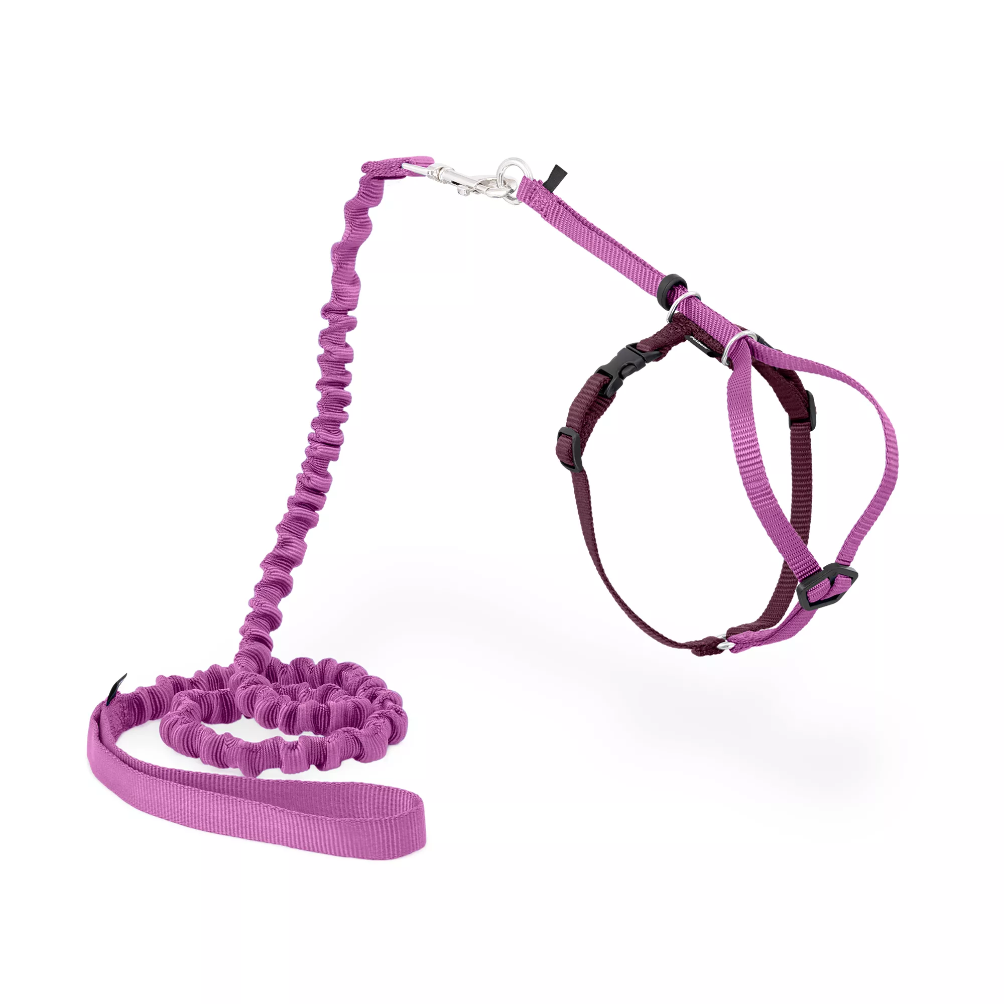 PetSafe® Come With Me Kitty&trade; Harness and Bungee Leash - Dusty Rose