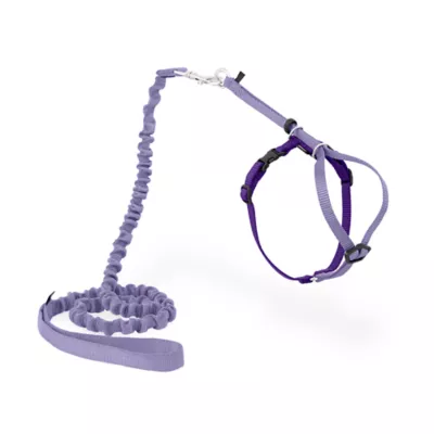 Product PetSafe® Come with Me Kitty Harness and Bungee Leash