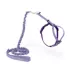 PetSafe® Come With Me Kitty, Cat Harness, and Cat Bungee Leash, Multiple Sizes & Colors image thumbnail 1