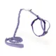 Product PetSafe® Come with Me Kitty Harness and Bungee Leash