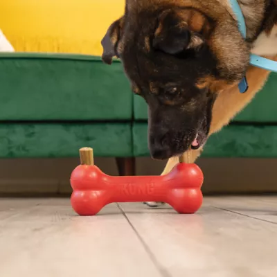 Product  KONG® Ziggies Dog Treat