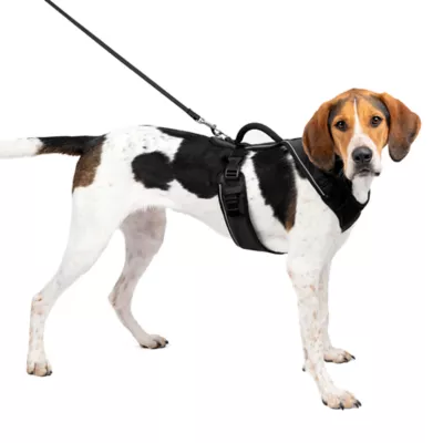 PetSafe® EasySport Nylon Reflective Dog Harness - Image 1
