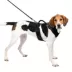 PetSafe® EasySport Nylon Reflective Dog Harness image thumbnail 1