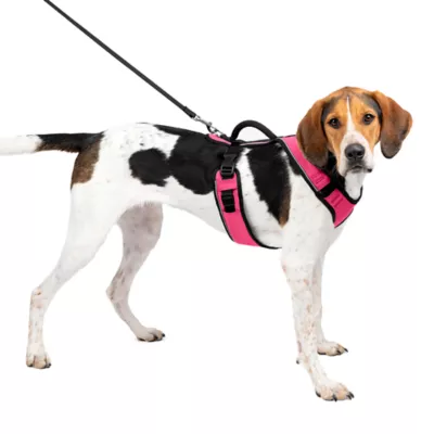 Product PetSafe® EasySport Nylon Reflective Dog Harness