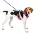 PetSafe® EasySport Nylon Reflective Dog Harness image thumbnail 1