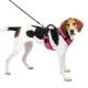 Product PetSafe® EasySport Nylon Reflective Dog Harness
