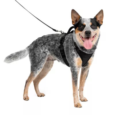 PetSafe® EasySport Nylon Reflective Dog Harness - Image 1