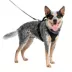 PetSafe® EasySport Nylon Reflective Dog Harness image thumbnail 1