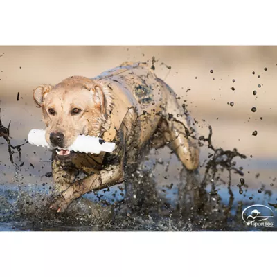 Product SportDOG® White Plastic Training Dummy