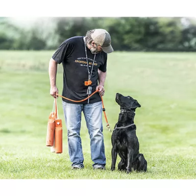 Product SportDOG® Orange Canvas Training Dummy