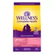 Product Wellness Complete Health Sensitive Skin & Stomach Adult Dry Dog Food - Salmon & Rice
