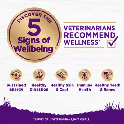 Product Wellness Complete Health Sensitive Skin & Stomach Adult Dry Dog Food - Salmon & Rice