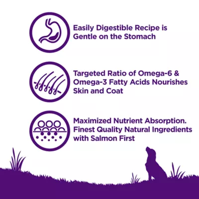 Product Wellness Complete Health Sensitive Skin & Stomach Adult Dry Dog Food - Salmon & Rice