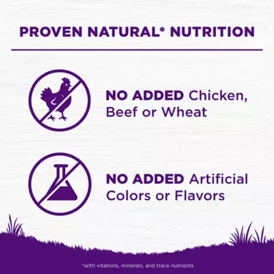 Product Wellness Complete Health Sensitive Skin & Stomach Adult Dry Dog Food - Salmon & Rice