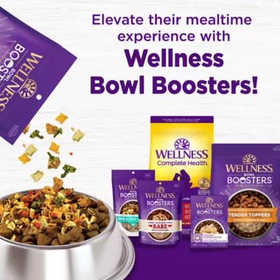 Product Wellness Complete Health Sensitive Skin & Stomach Adult Dry Dog Food - Salmon & Rice